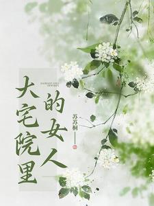 轩辕大宝(大宝传奇) 第272章